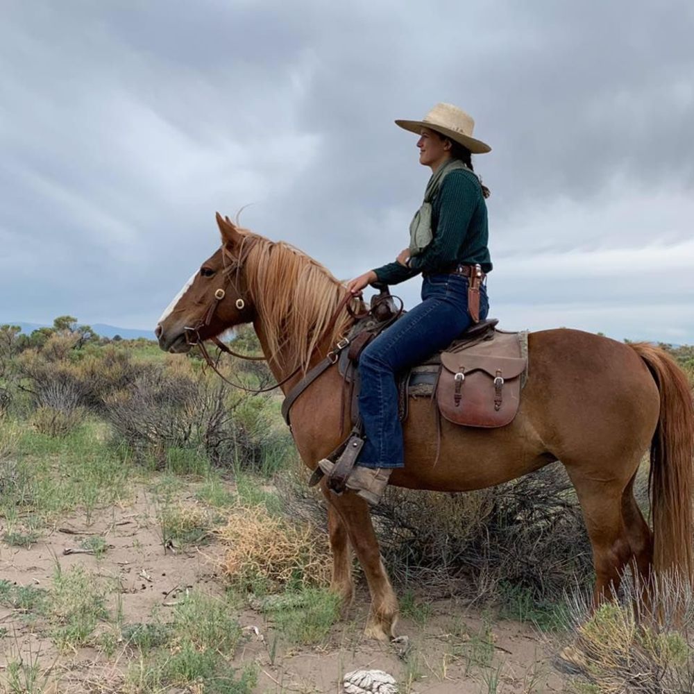 Meet your Posher, Annie